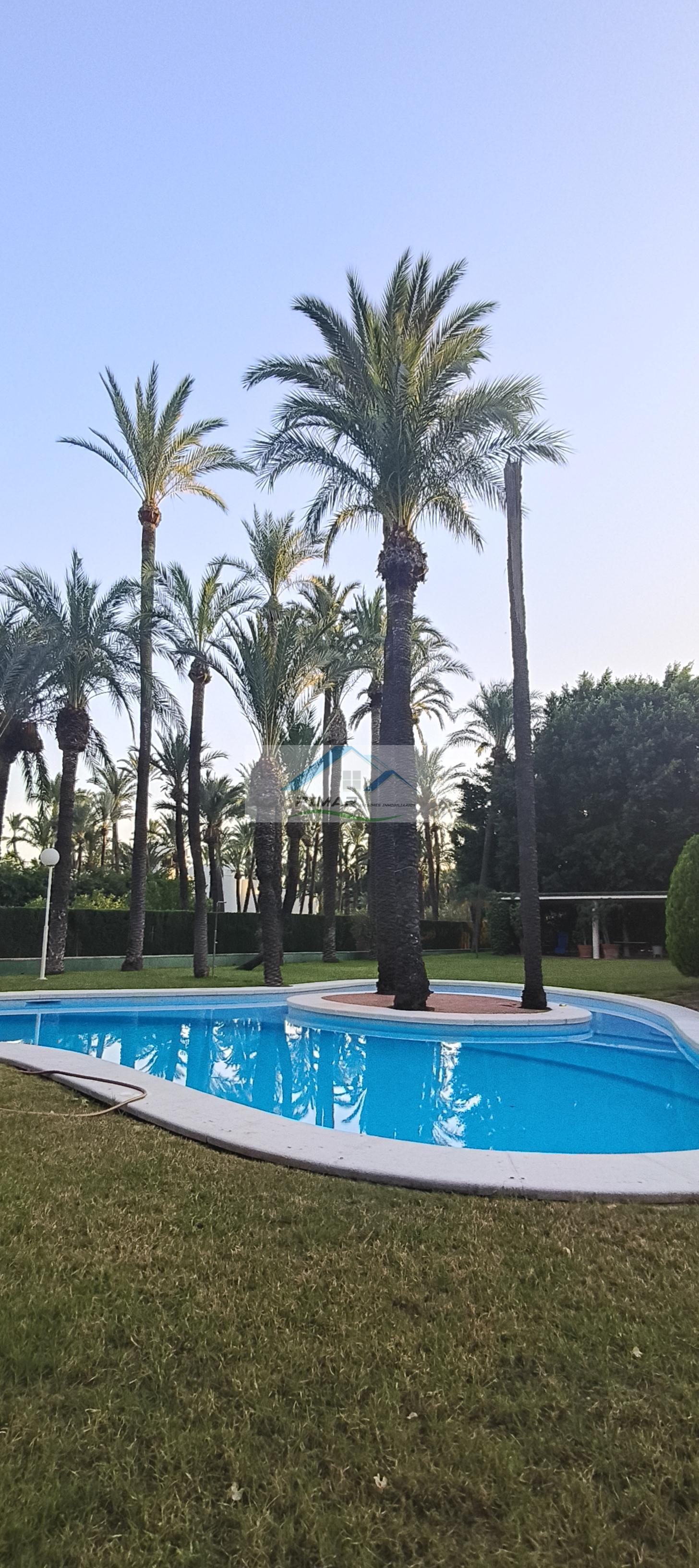Venta de villa en Elche-Elx