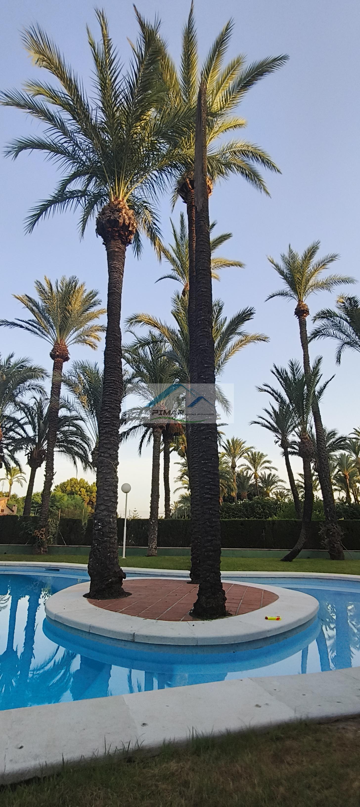 Venta de villa en Elche-Elx