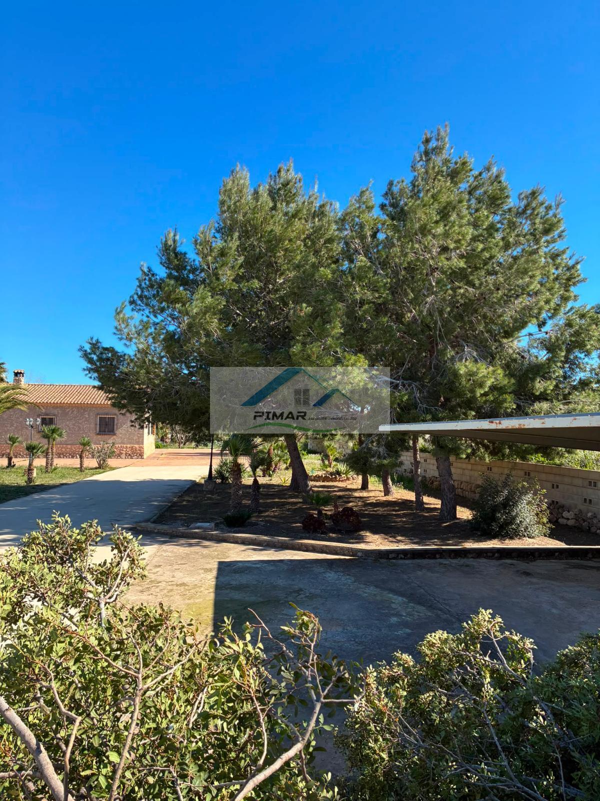 Venta de chalet en Aspe