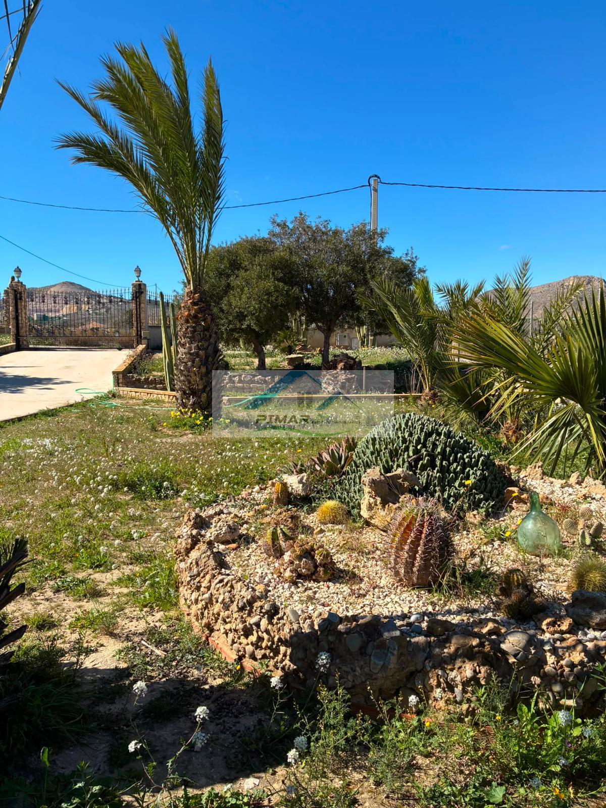 Venta de chalet en Aspe