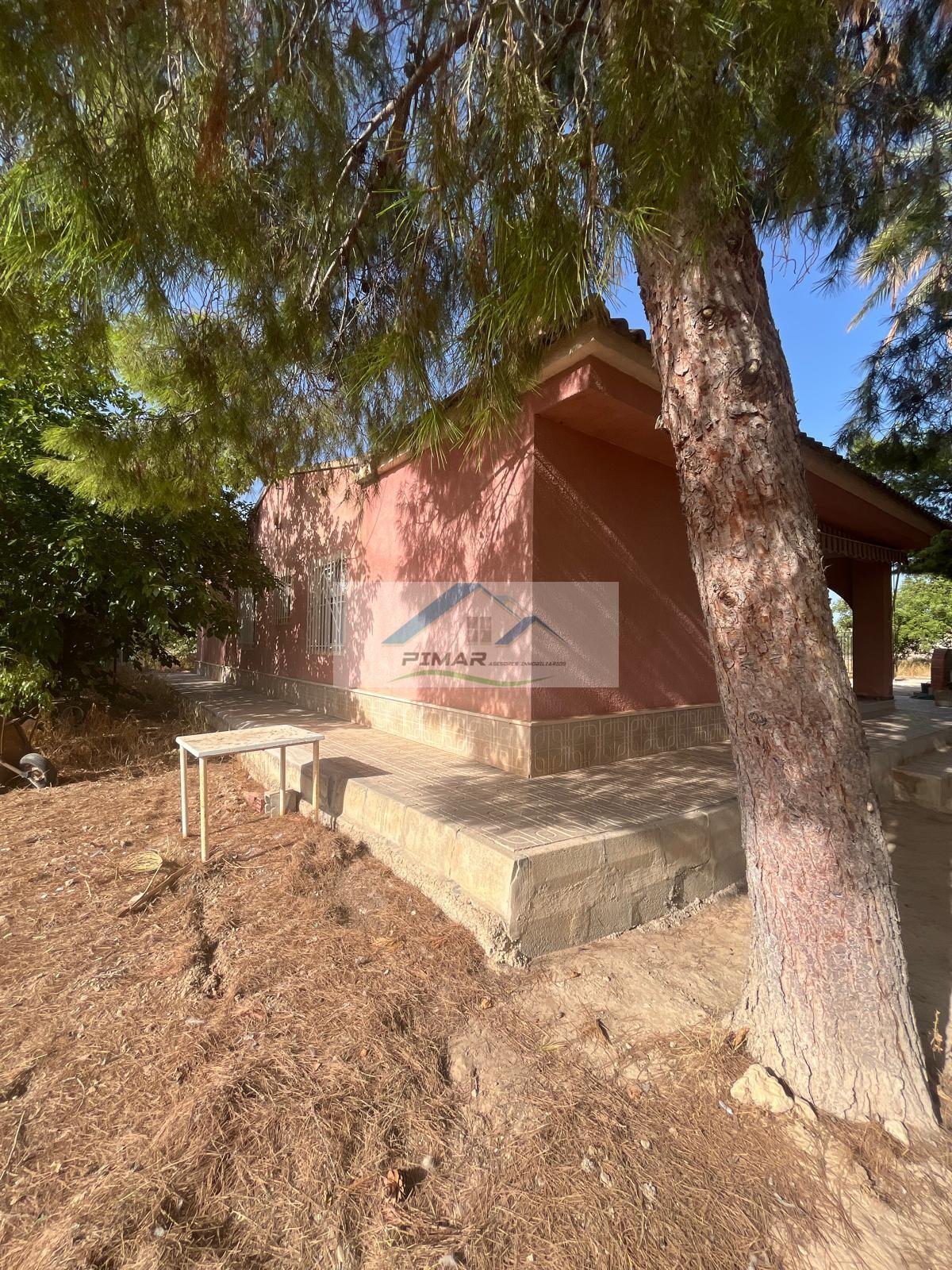 Venta de casa en Elche-Elx