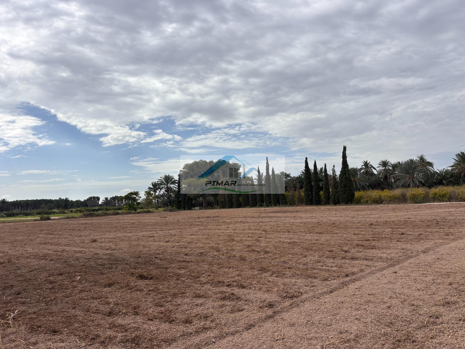 Venta de finca rústica en Elche-Elx