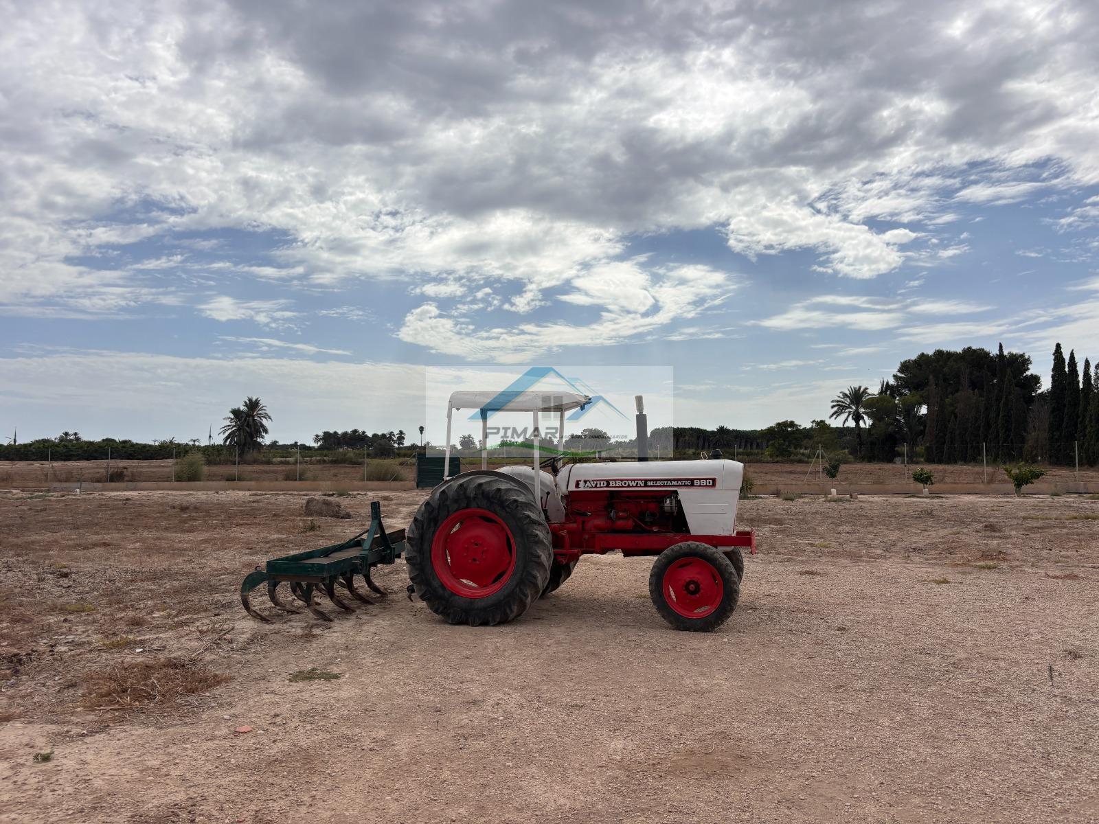 Venta de finca rústica en Elche-Elx