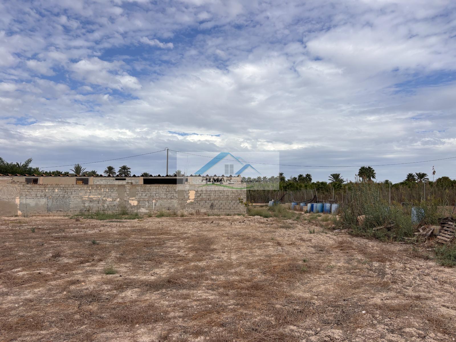 Venta de finca rústica en Elche-Elx