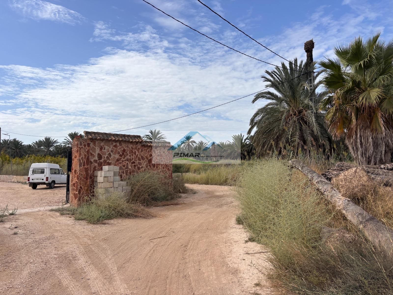 Venta de finca rústica en Elche-Elx
