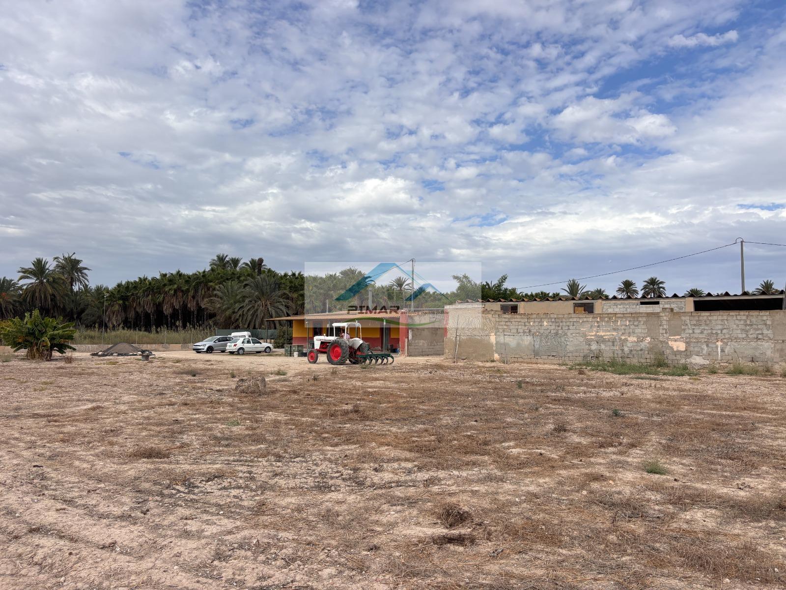 Venta de finca rústica en Elche-Elx