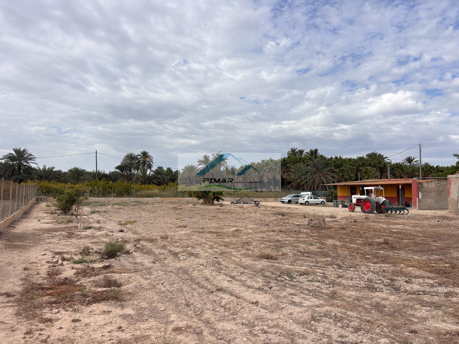 Venta de finca rústica en Elche-Elx