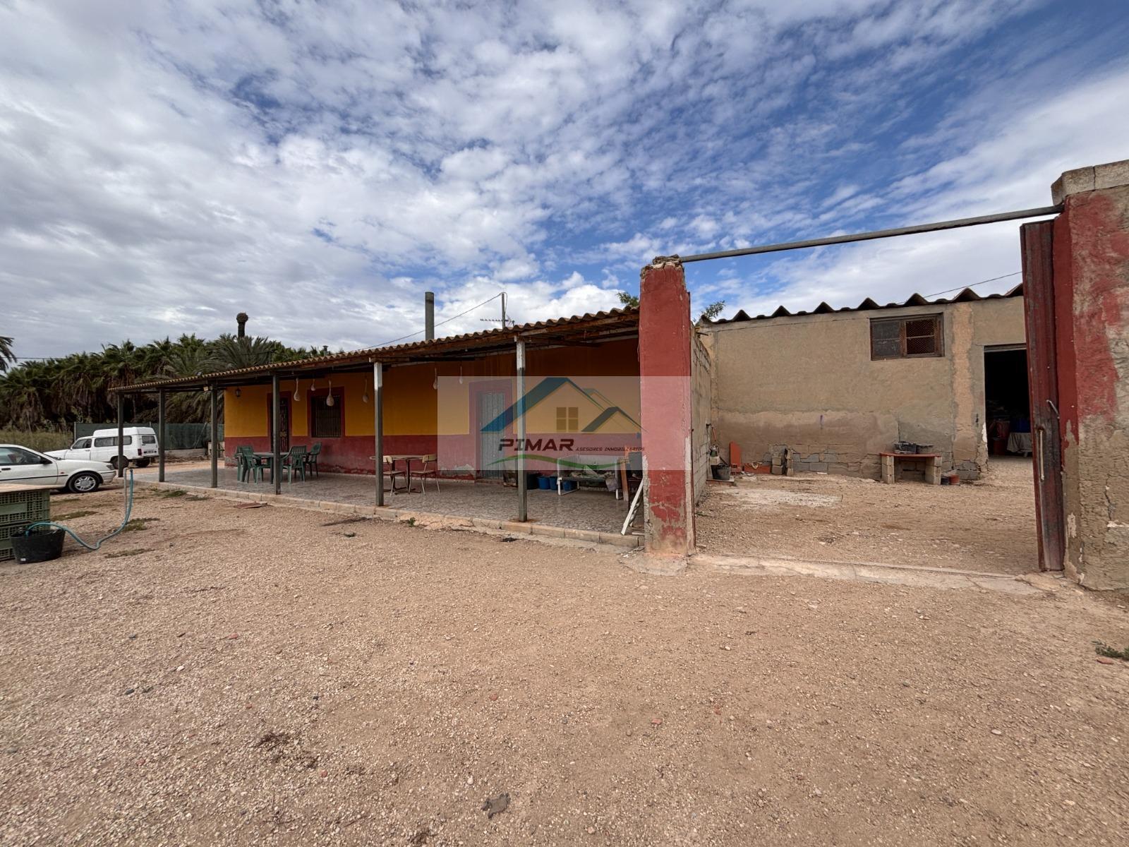 Venta de finca rústica en Elche-Elx