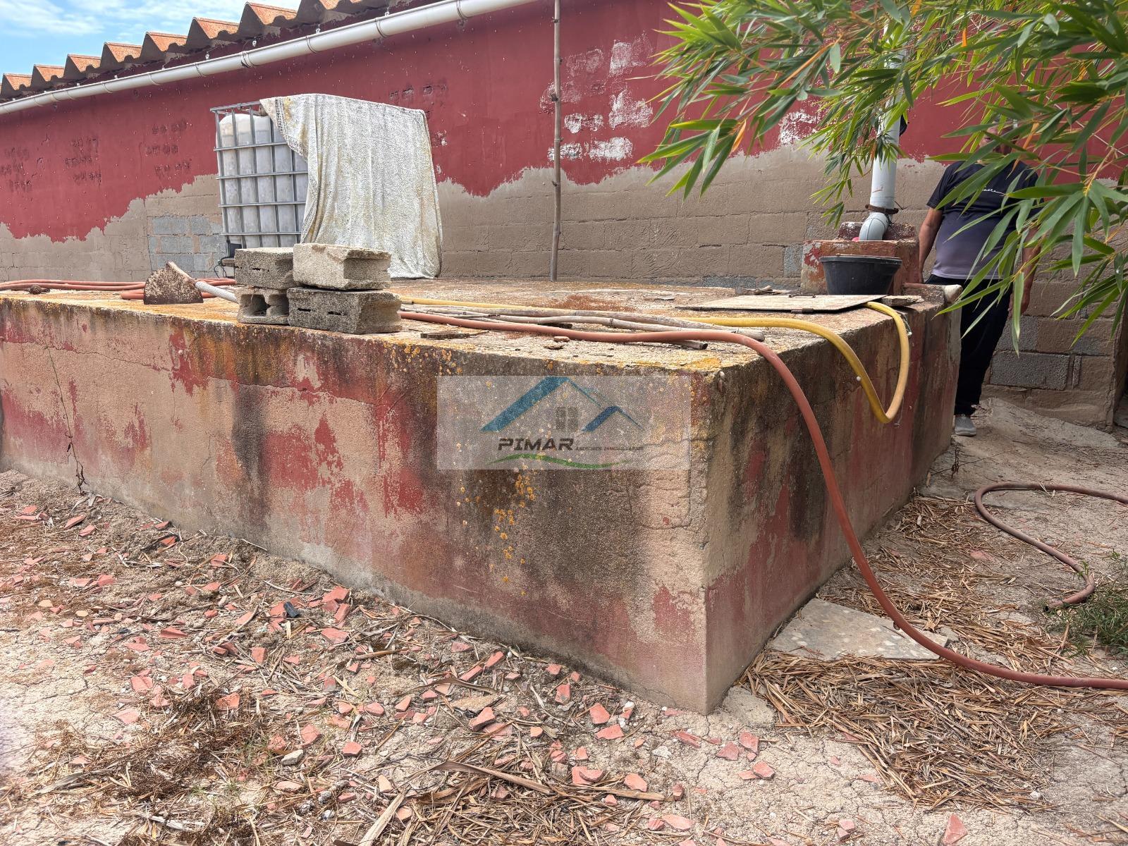 Venta de finca rústica en Elche-Elx