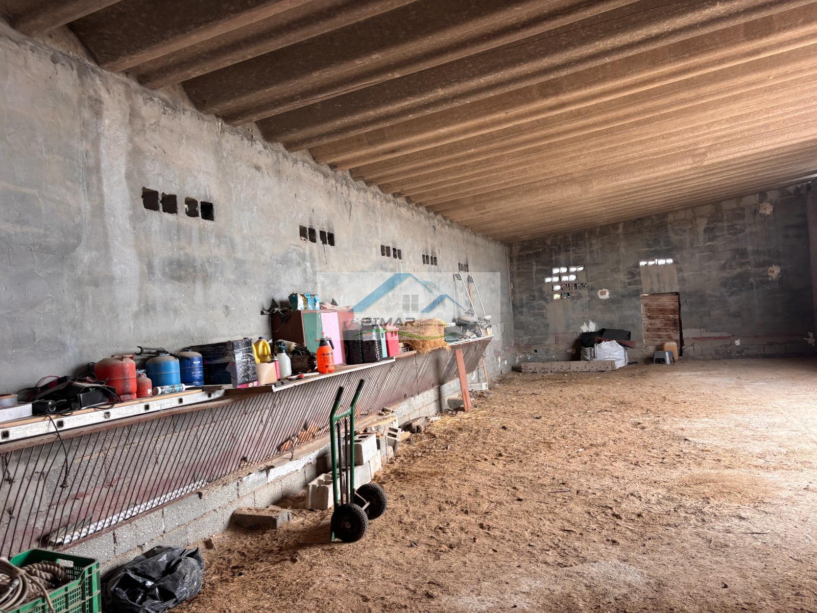 Venta de finca rústica en Elche-Elx