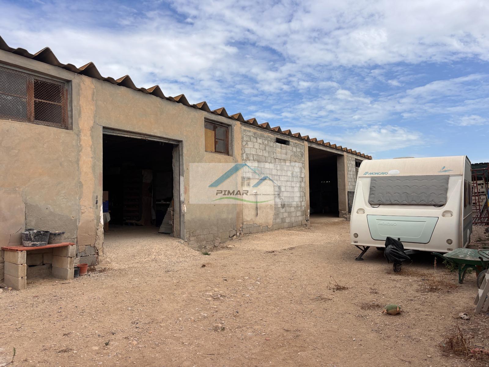 Venta de finca rústica en Elche-Elx