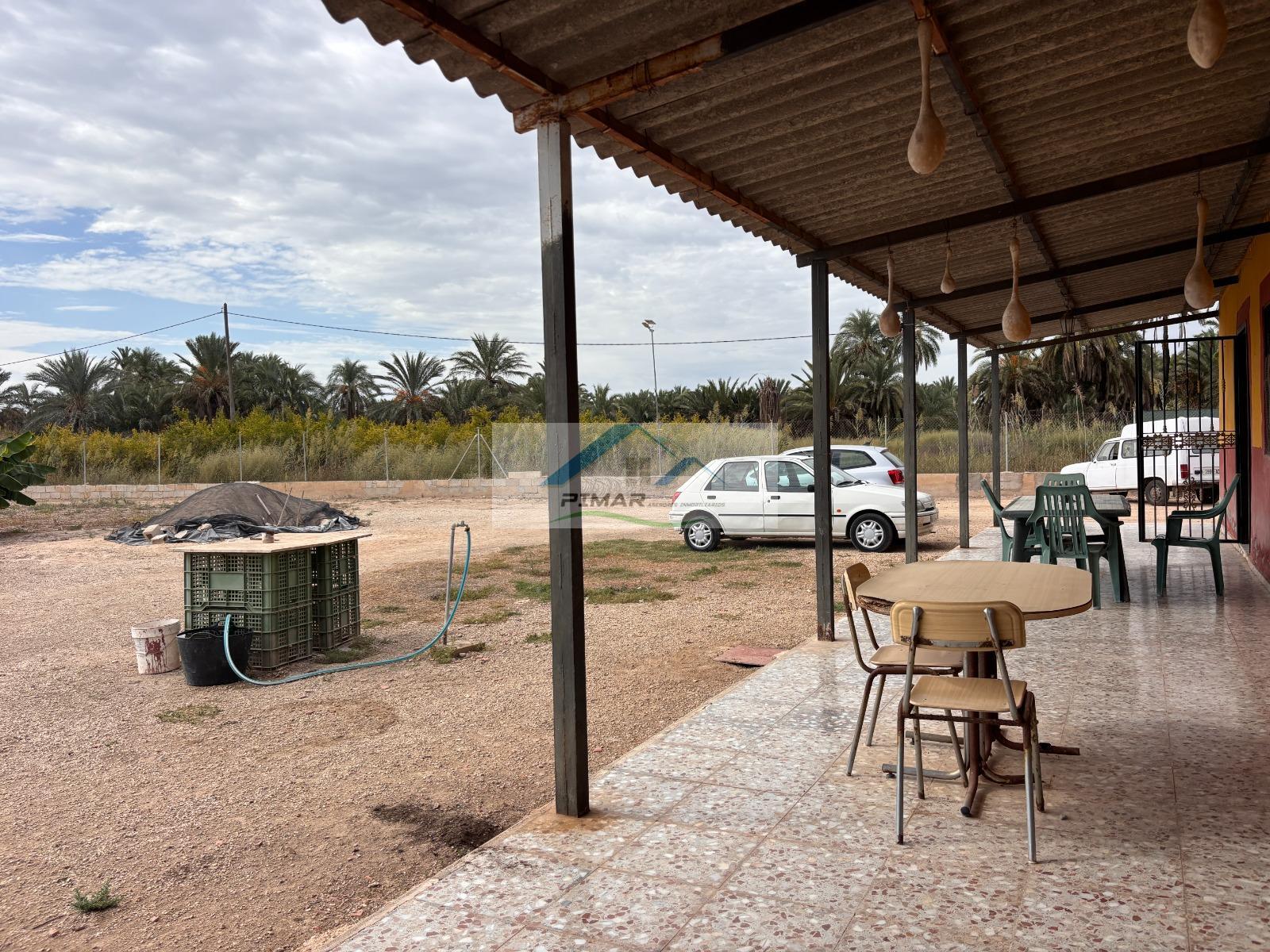 Venta de finca rústica en Elche-Elx