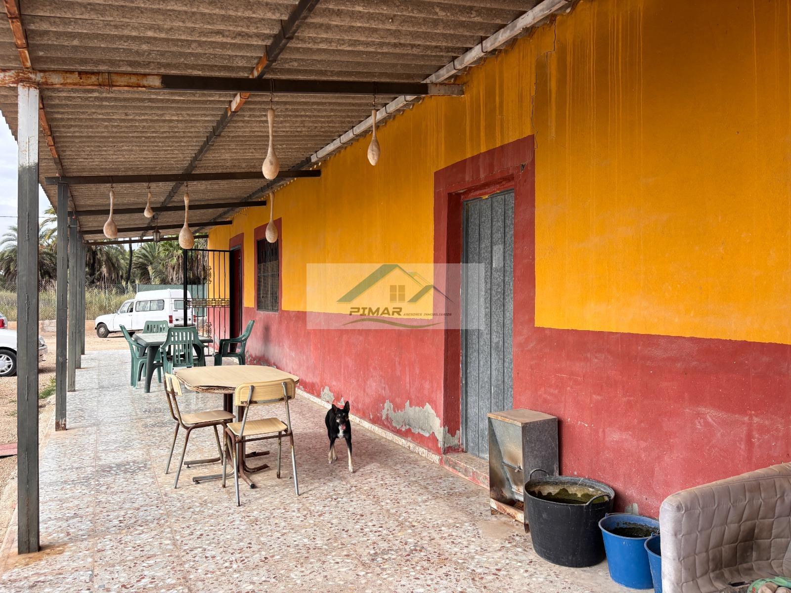 Venta de finca rústica en Elche-Elx