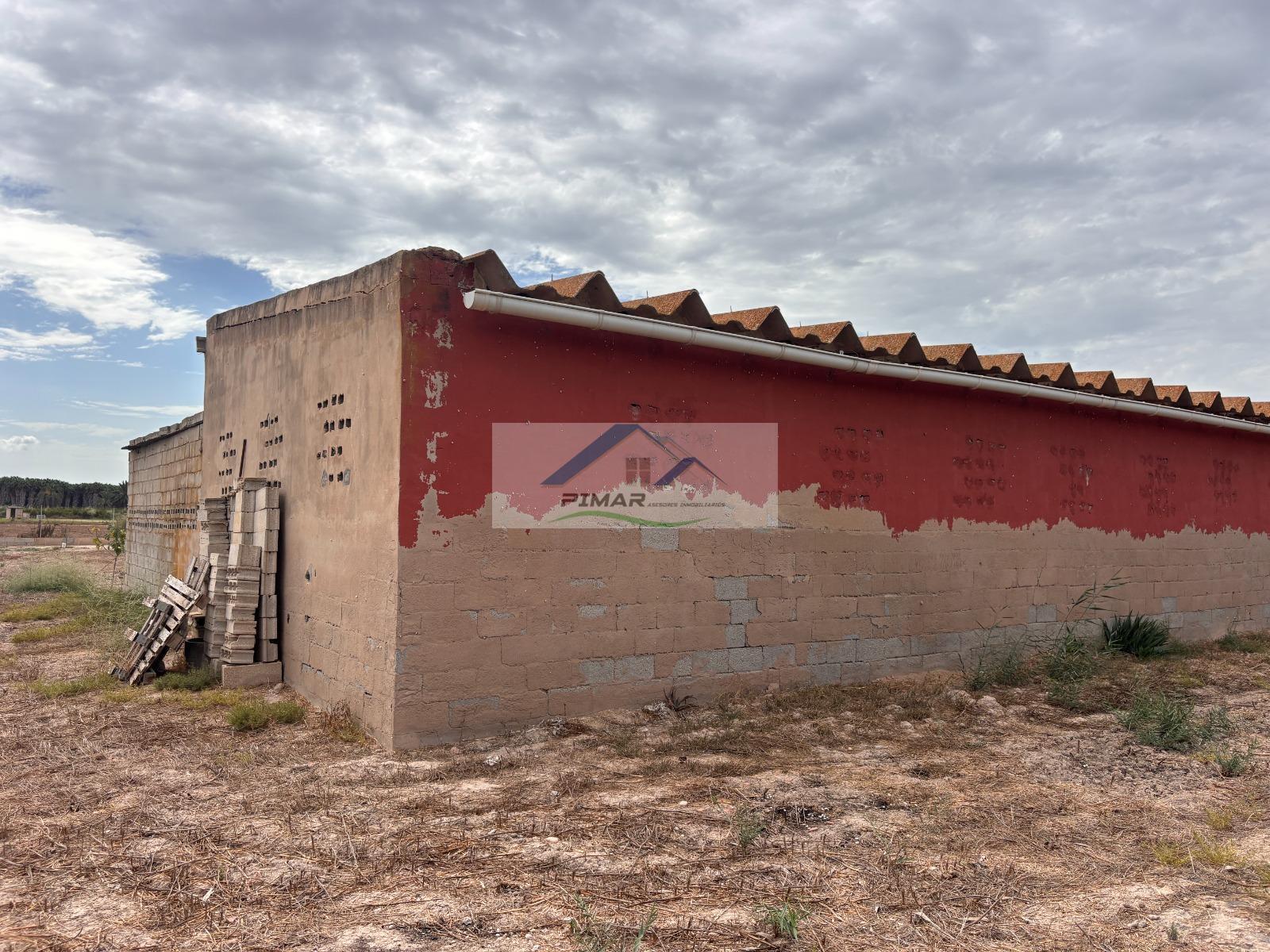 Venta de finca rústica en Elche-Elx