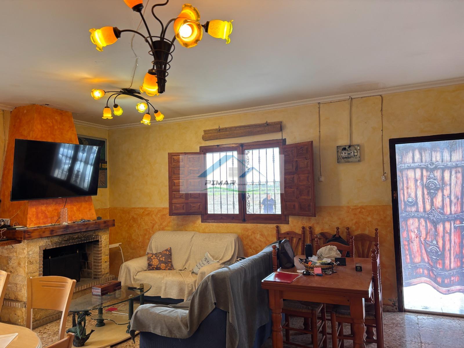 Venta de finca rústica en Elche-Elx
