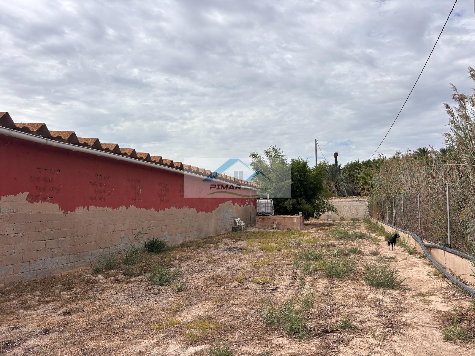 Venta de finca rústica en Elche-Elx