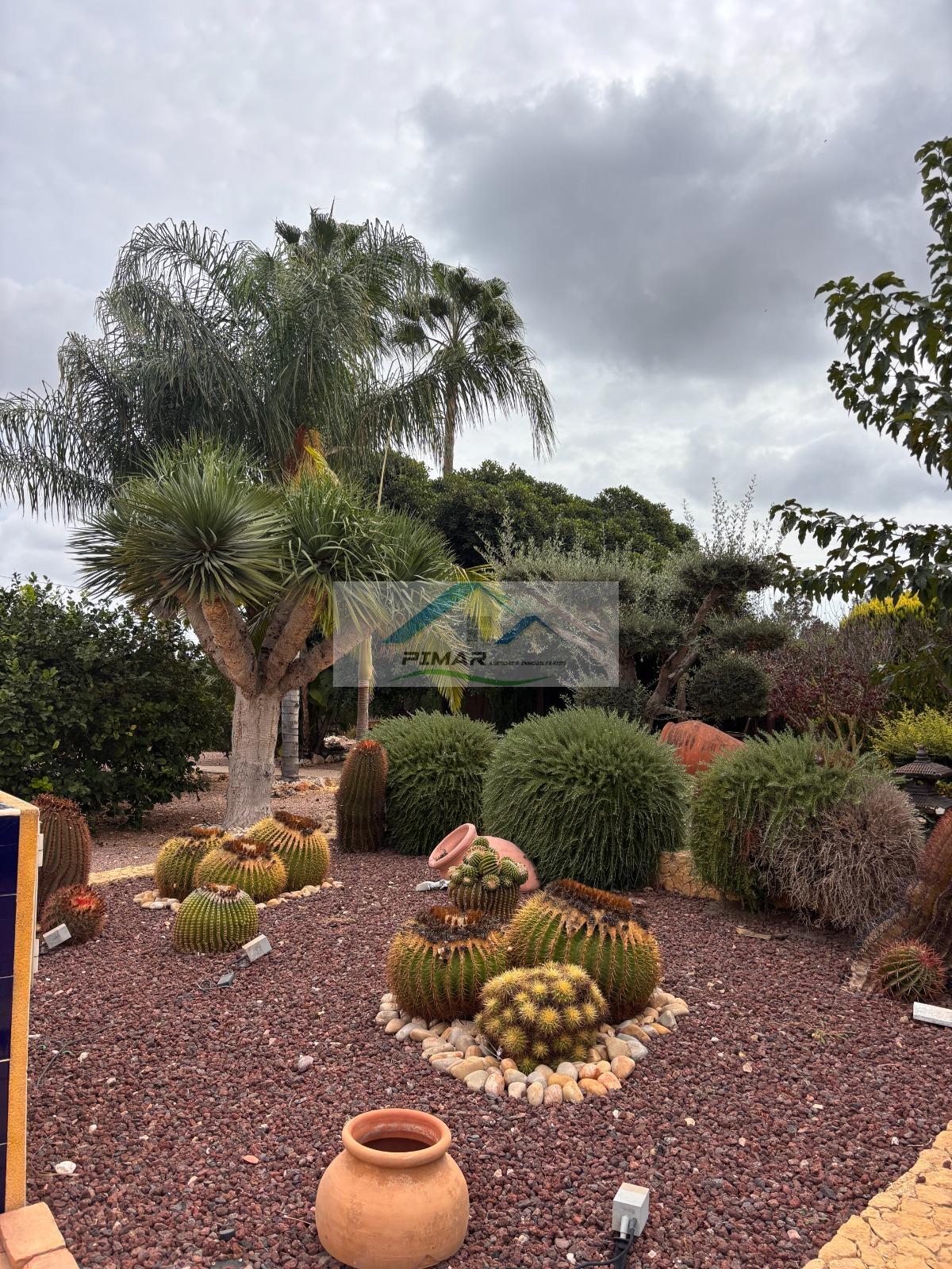 Venta de chalet en Elche-Elx