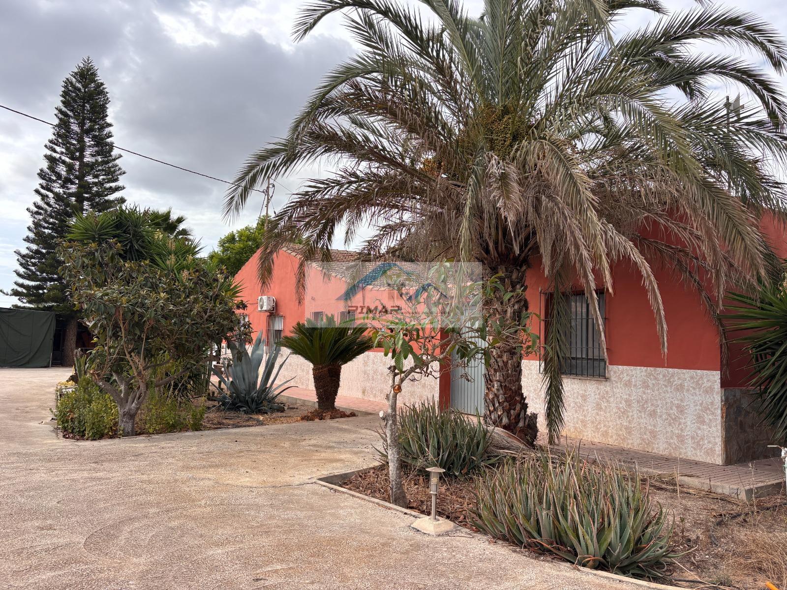 Venta de casa en Elche-Elx