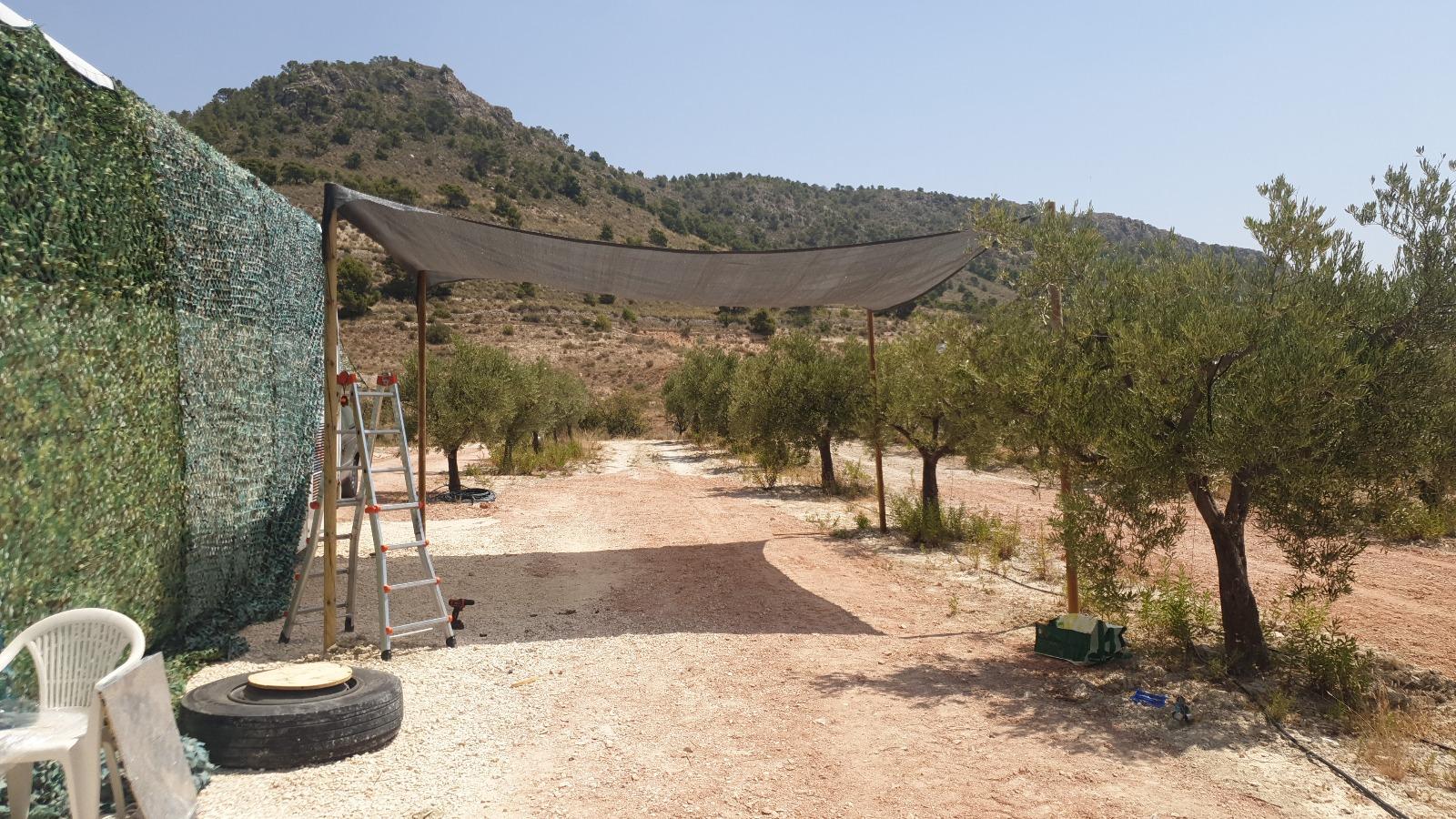 Venta de terreno en Alicante