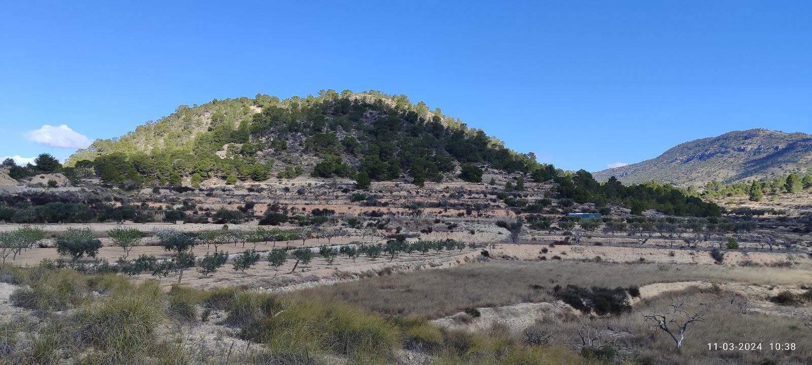 Venta de terreno en Alicante