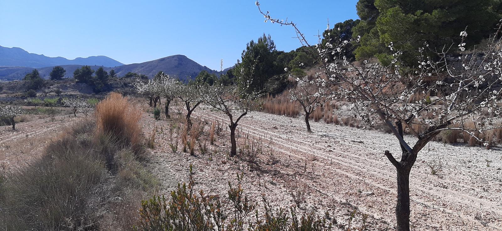 Venta de terreno en Alicante