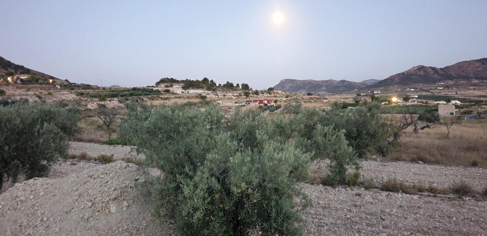 Venta de terreno en Alicante