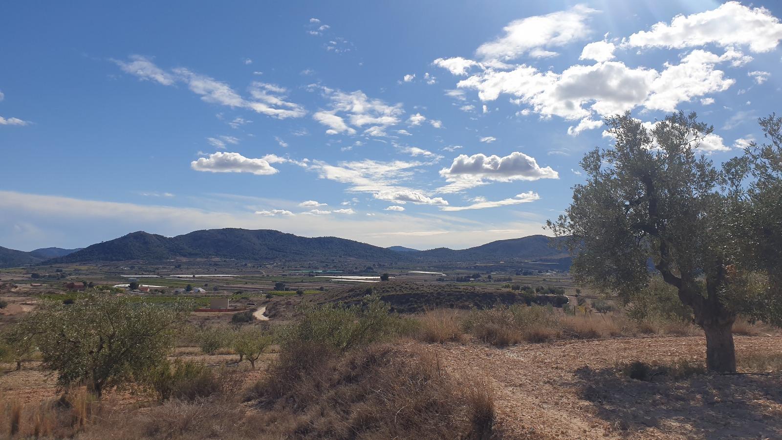 Venta de terreno en Alicante