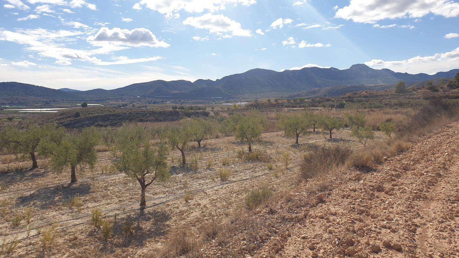Venta de terreno en Alicante