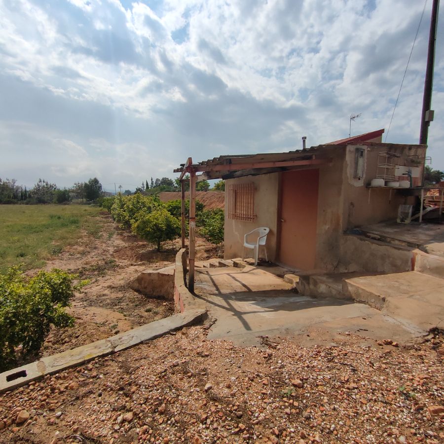 For sale of rural property in Novelda