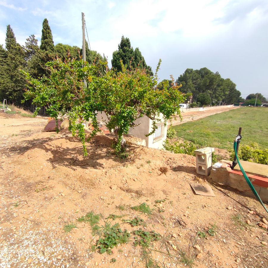 For sale of rural property in Novelda