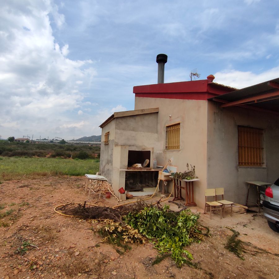 For sale of rural property in Novelda