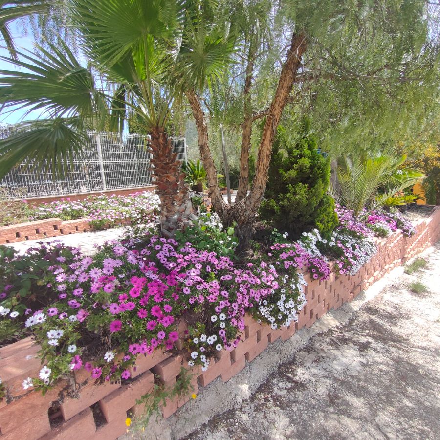 For sale of chalet in Algueña