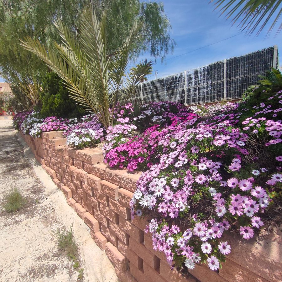For sale of chalet in Algueña