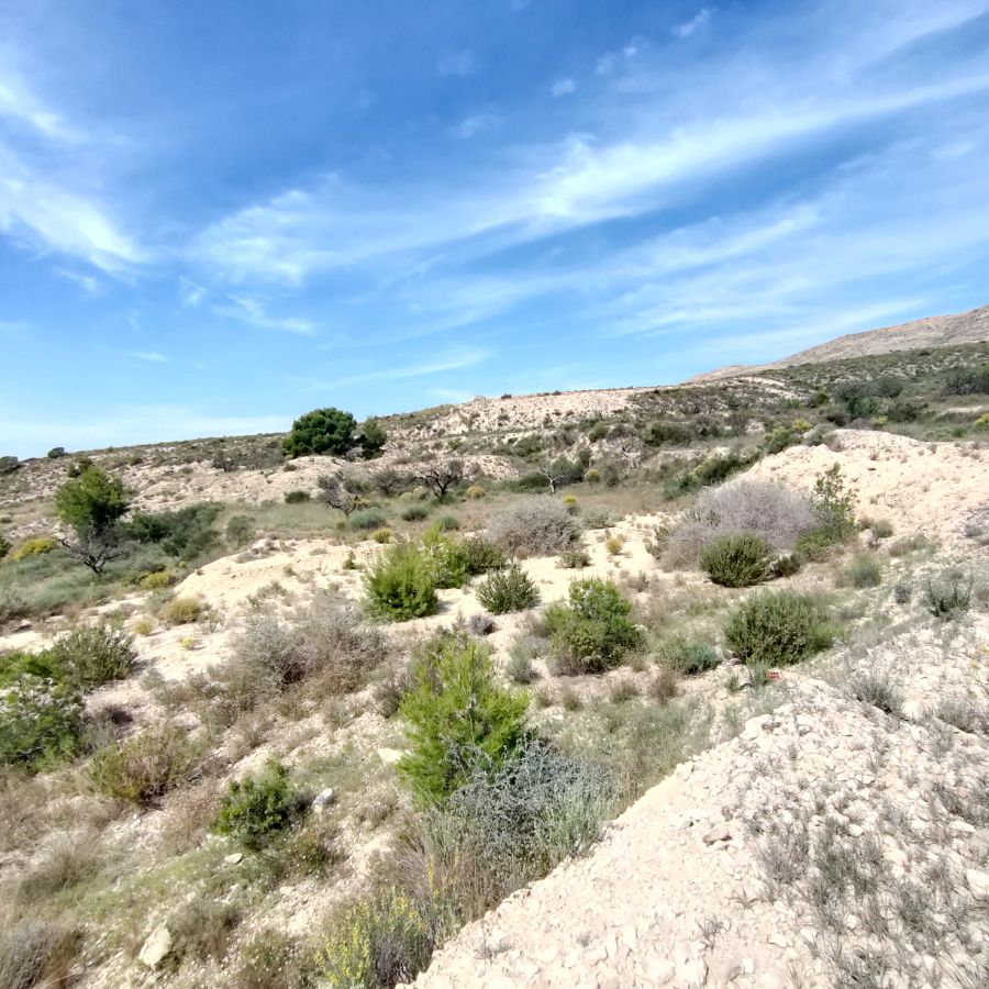 Terreno en venta en Campo, Agost