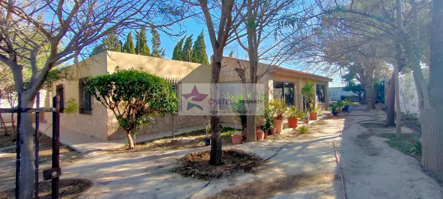 Venta de finca rústica en Agost