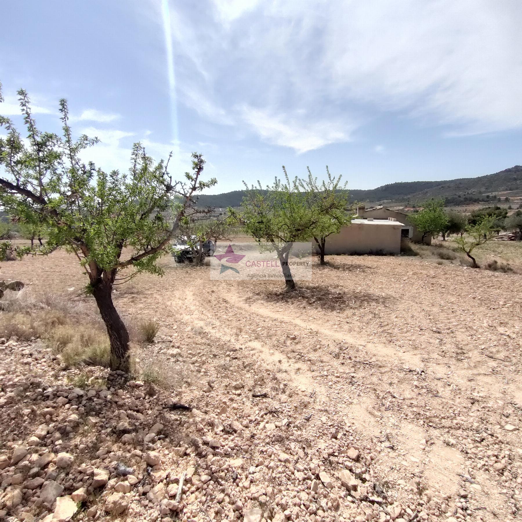 For sale of land in Yecla