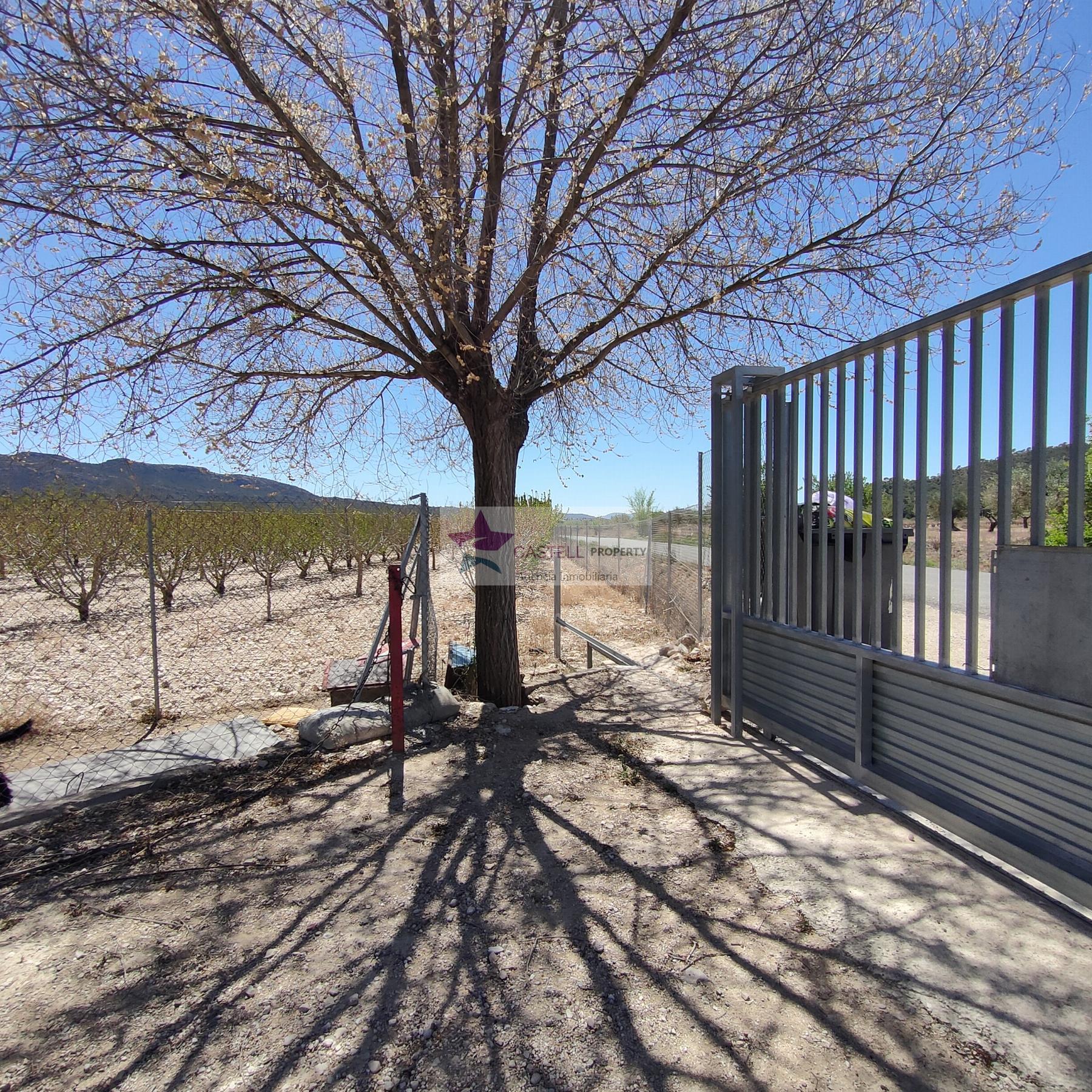 For sale of rural property in Salinas