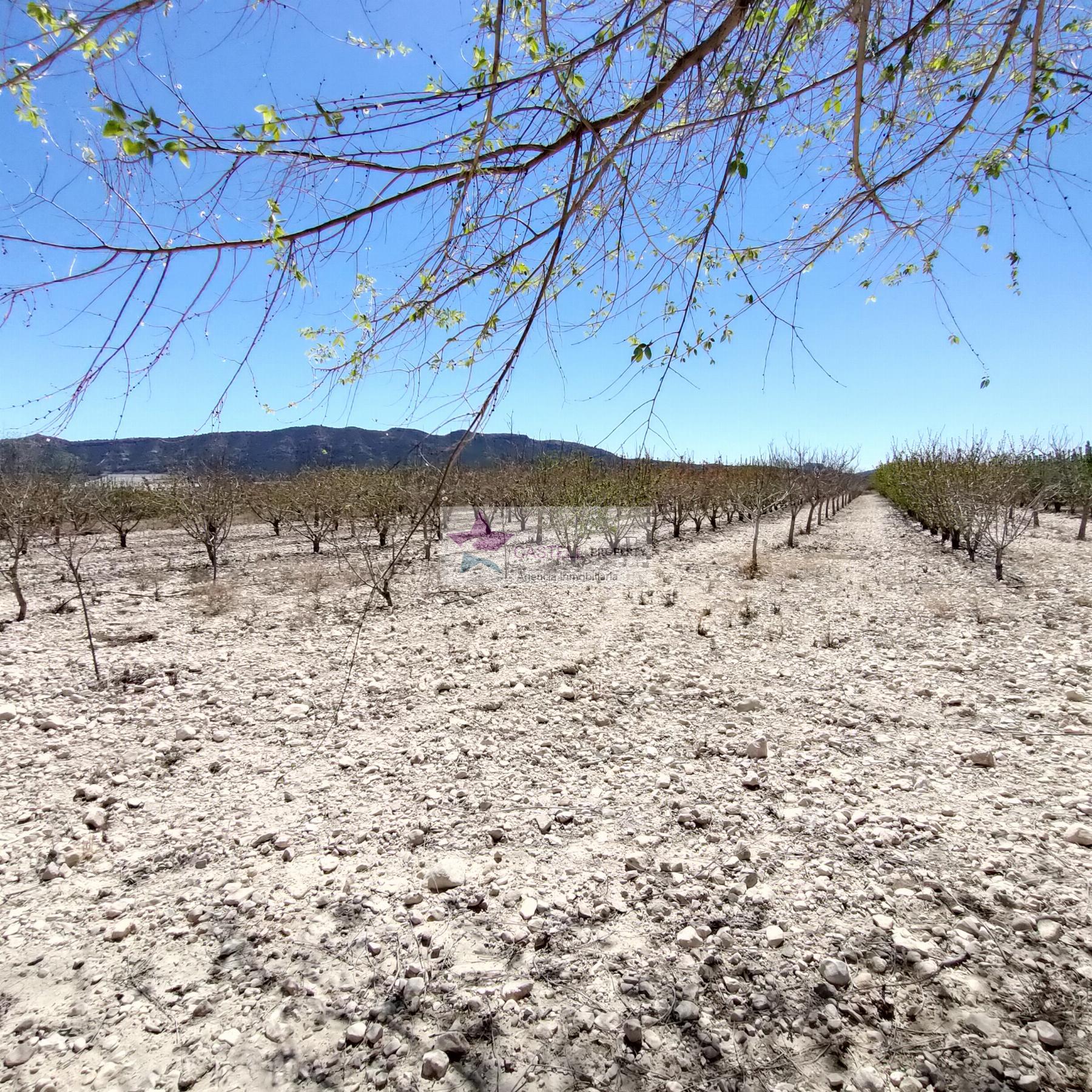 For sale of rural property in Salinas