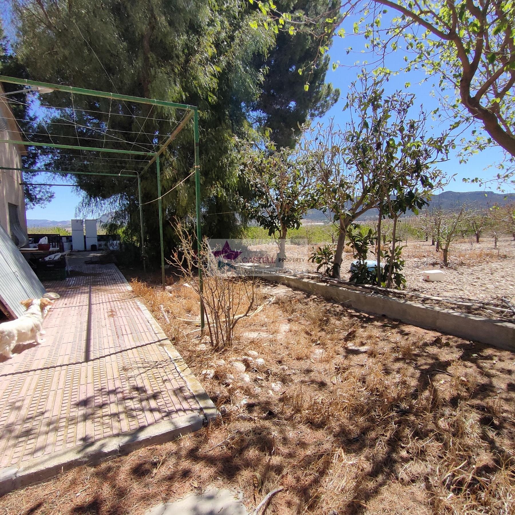 For sale of rural property in Salinas