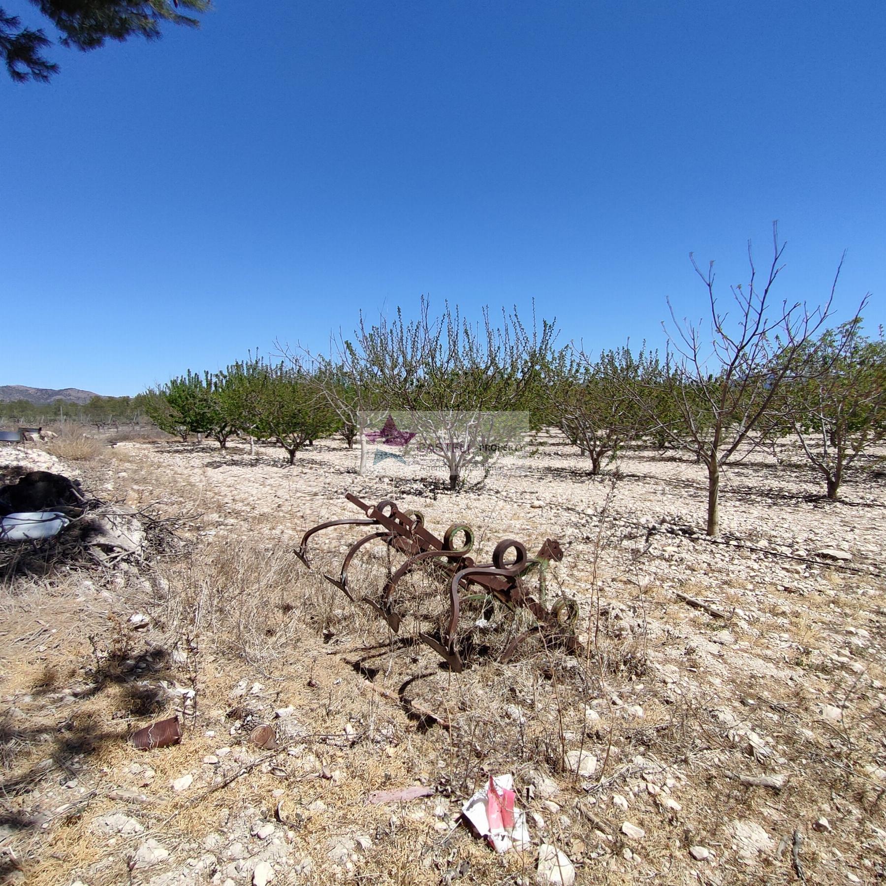 For sale of rural property in Salinas