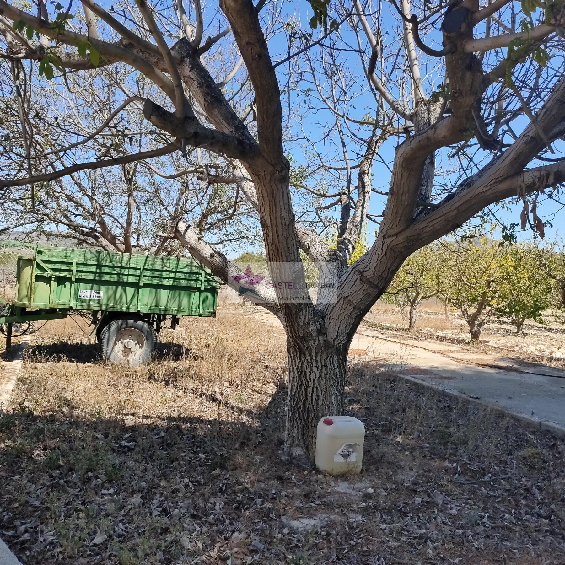 For sale of rural property in Salinas