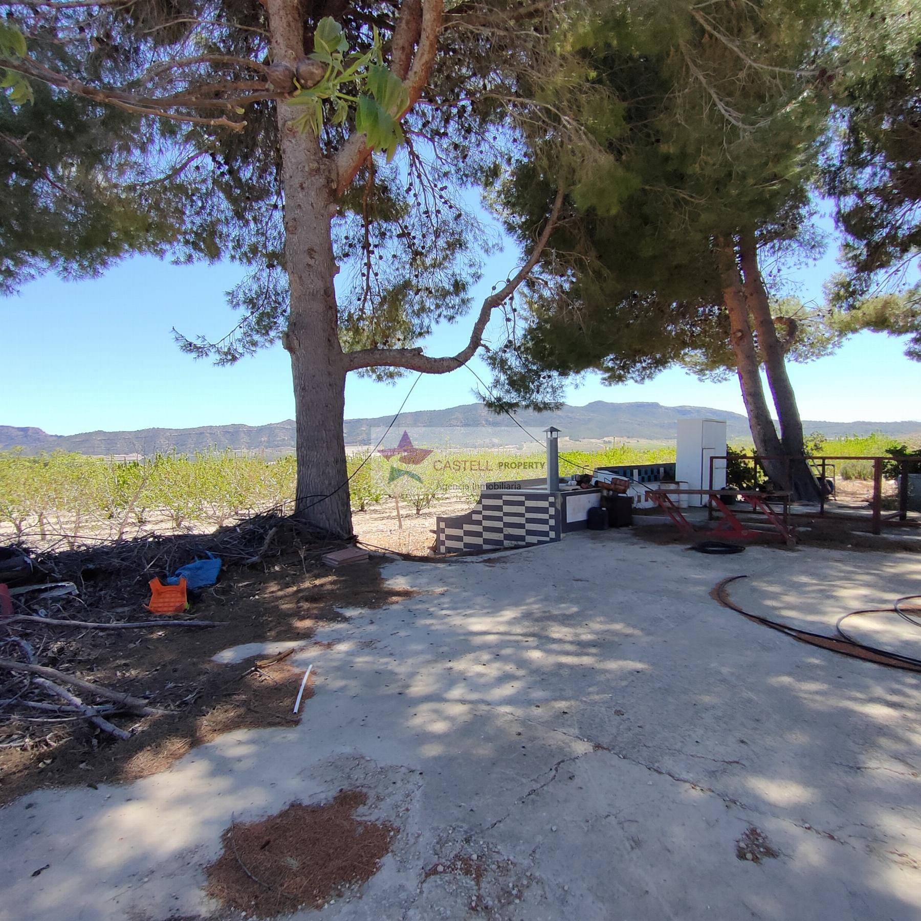 For sale of rural property in Salinas