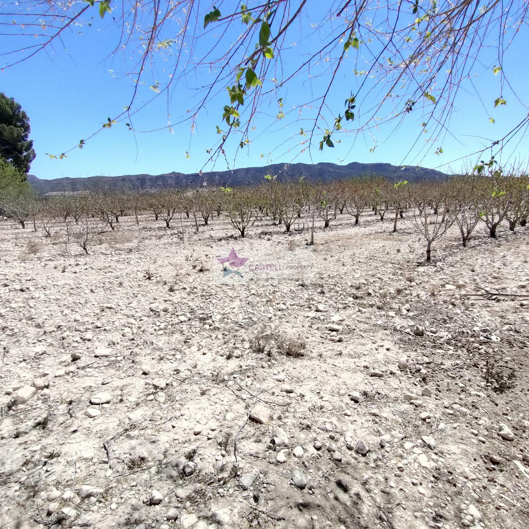 For sale of rural property in Salinas