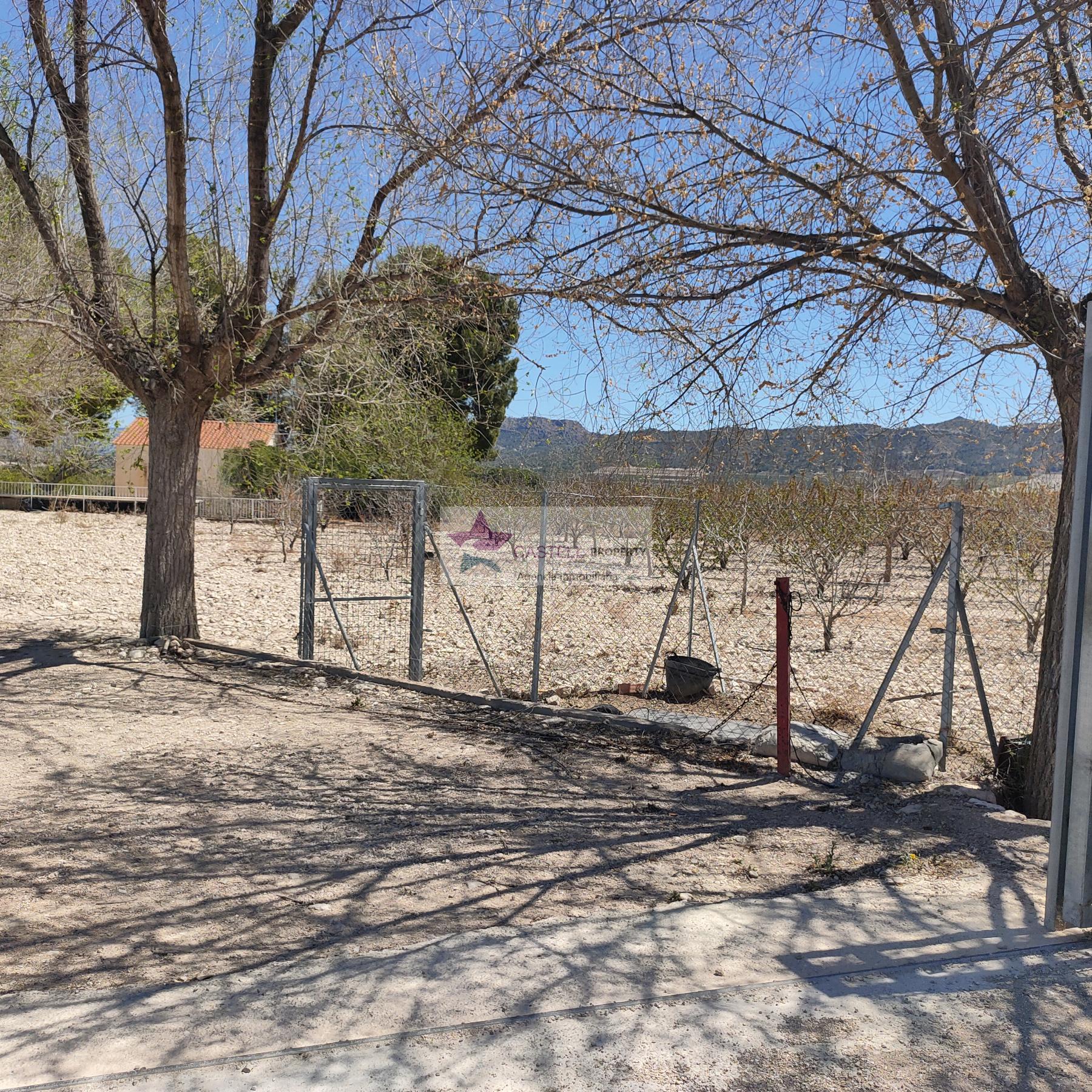 For sale of rural property in Salinas