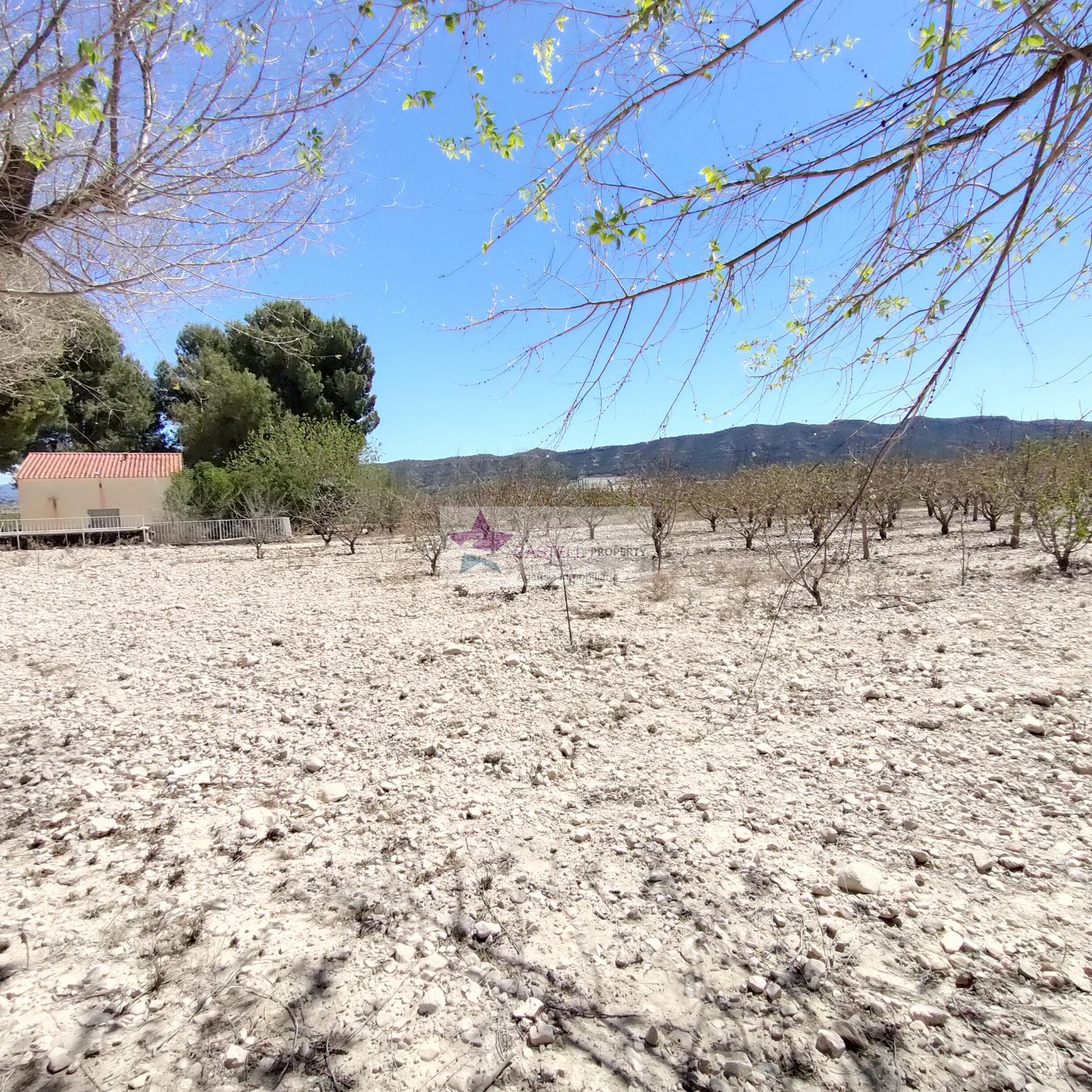 For sale of rural property in Salinas