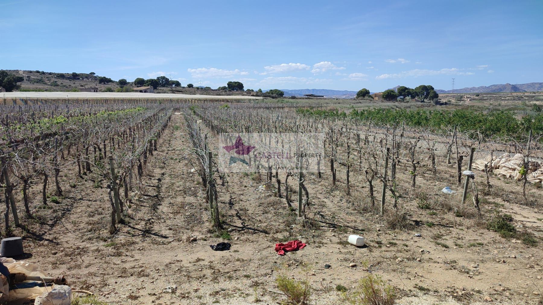 Venta de terreno en Monforte del Cid