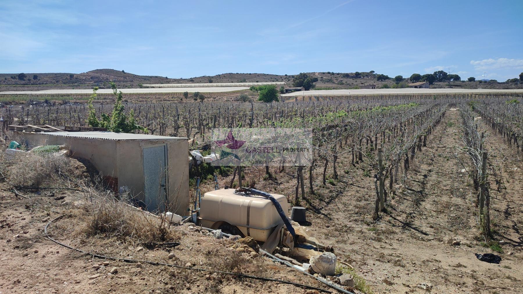 Venta de terreno en Monforte del Cid