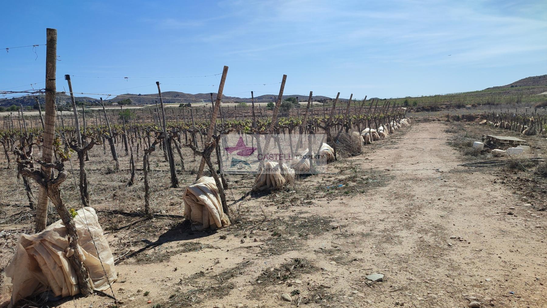 Venta de terreno en Monforte del Cid