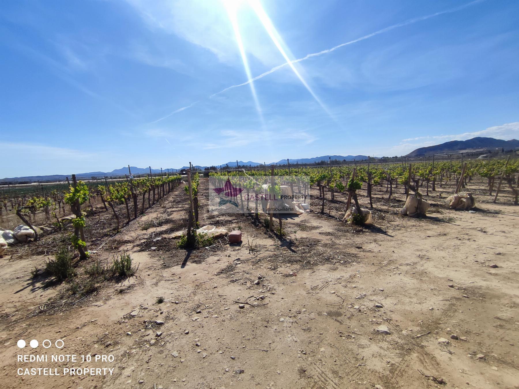 Venta de terreno en Monforte del Cid