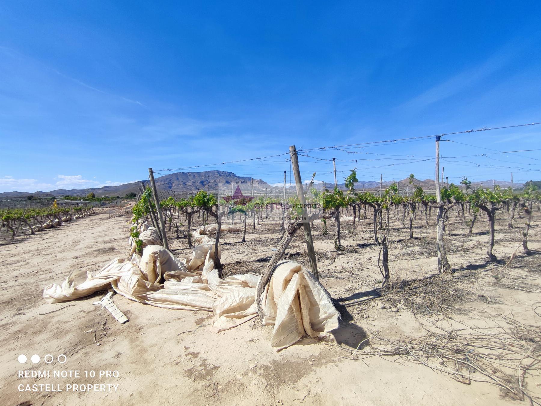 Venta de terreno en Monforte del Cid